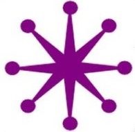 Anise Consulting